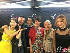 亚洲成人电影免费观看,免费观看背后的真相与挑战