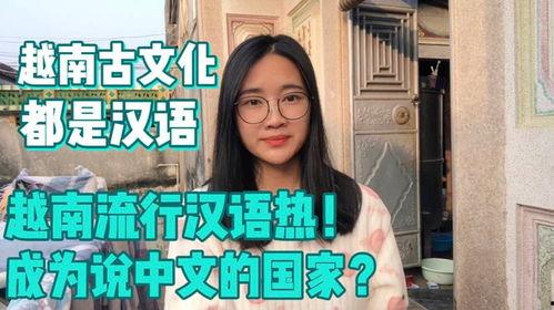 亚洲国语,亚洲视角下的现代汉语发展概览