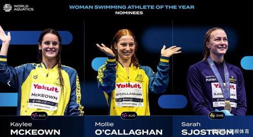 亚洲69网,揭秘亚洲娱乐产业的魅力与挑战