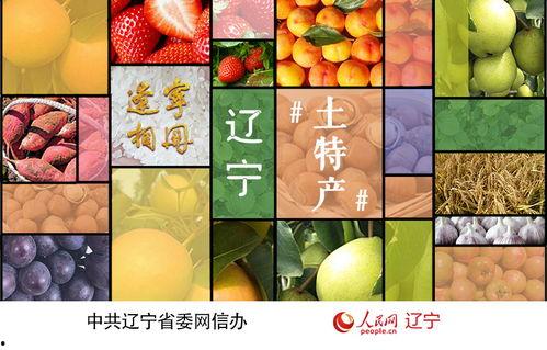 亚洲最大色网,暗网中的隐秘世界